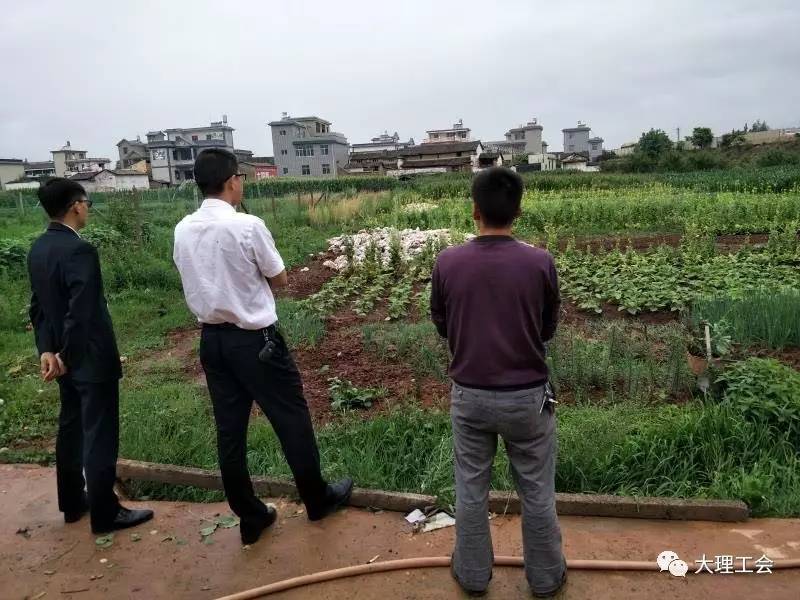 寅街镇未来繁荣新蓝图，最新发展规划揭秘