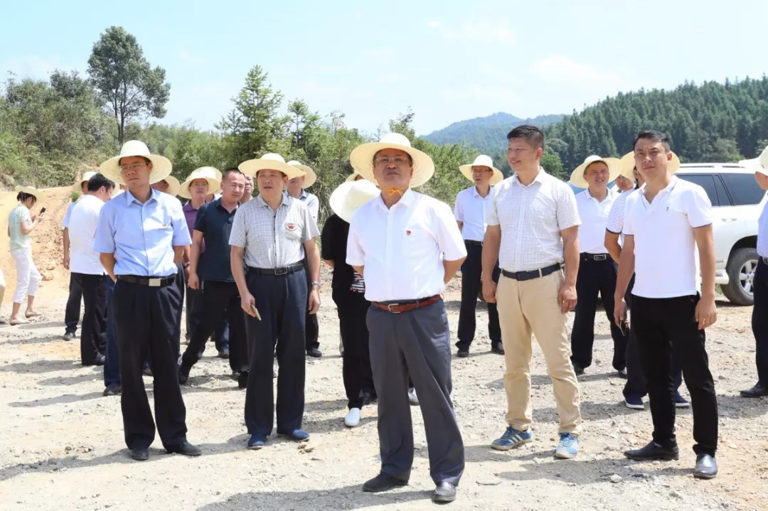 石木村新领导引领村庄迈向辉煌新篇章