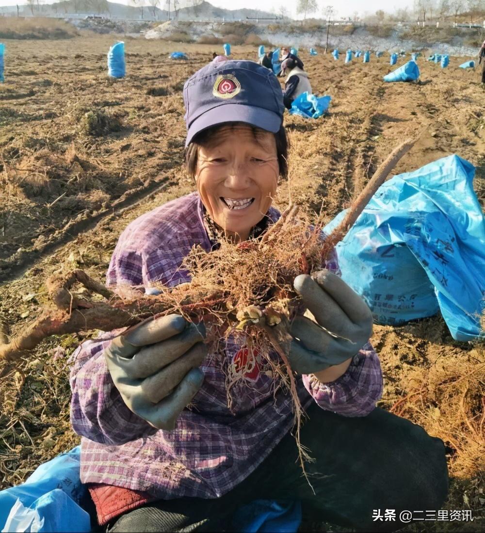 荒地满族镇全新发展规划揭晓