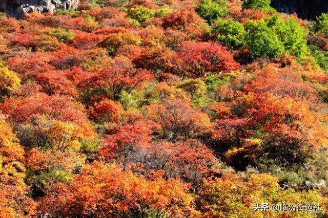 山西省长治市黎城县黄崖洞镇发展规划展望，未来蓝图揭秘