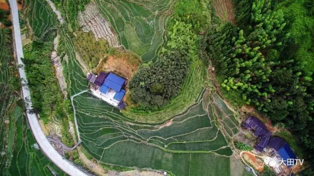 白鹭乡发展规划揭秘，生态宜居与经济发展和谐共融的未来蓝图