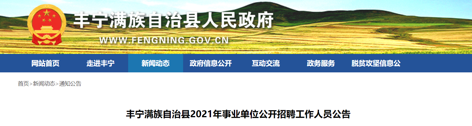 丰宁满族自治县审计局最新招聘信息与招聘细节深度解析