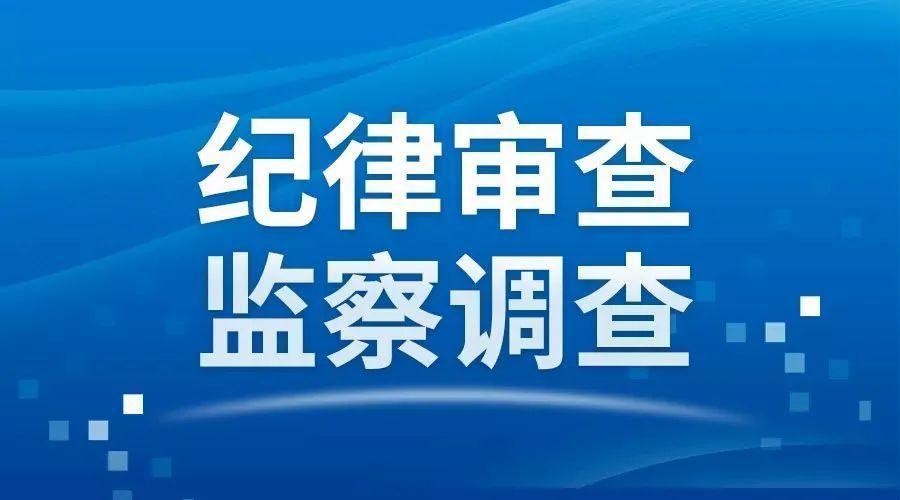 白沙黎族自治县审计局最新招聘公告详解