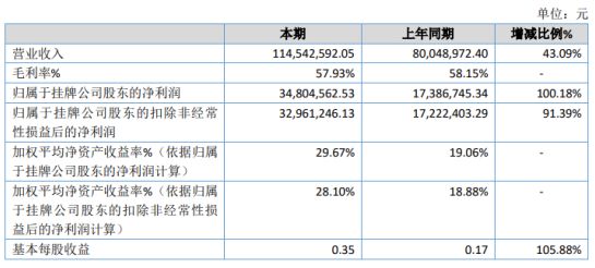 红山区数据和政务服务局最新项目，数字化政务新里程碑正式开启