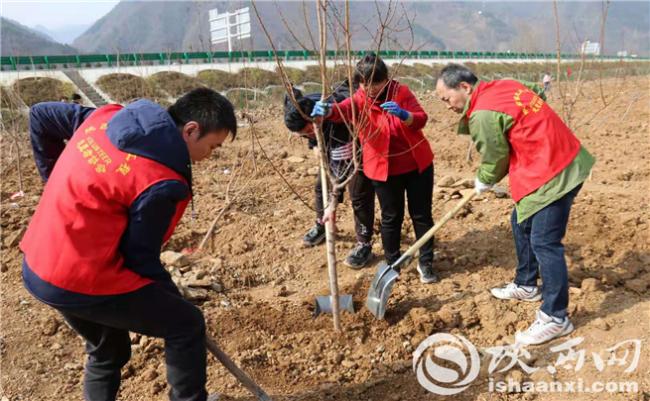 柞水县小学领导团队，引领未来教育的新力量