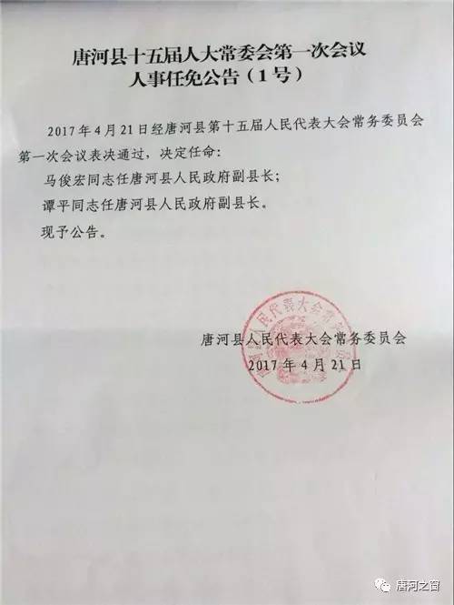 唐河县小学人事任命重塑未来教育格局