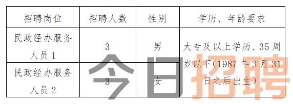 市辖区医疗保障局招聘启事，探寻医疗保障人才新动向