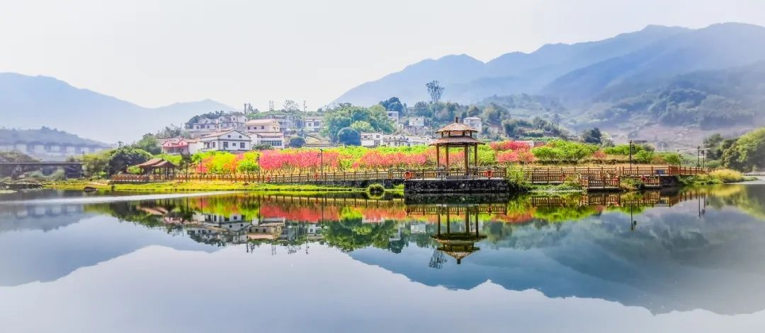 马洋溪旅游区最新天气预测报告