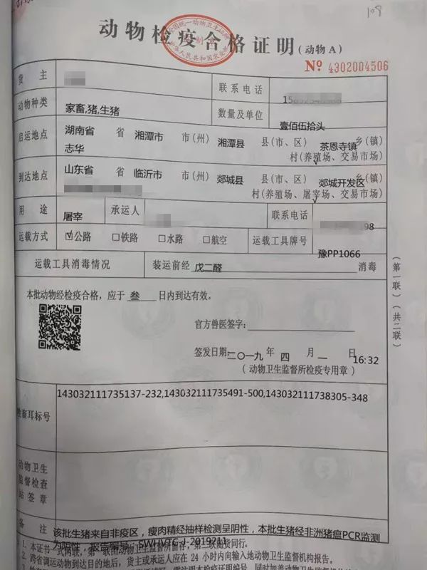 盘县防疫检疫站最新招聘信息与职业机会深度探讨