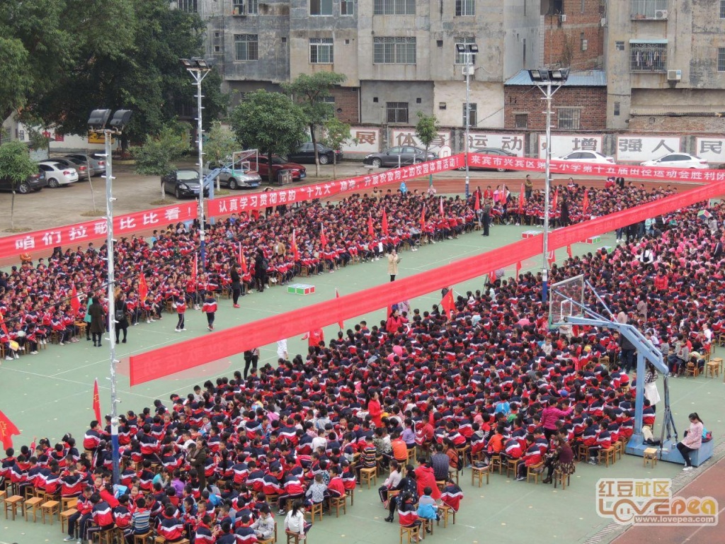 来宾市兴宾区小学最新项目，开启现代教育新篇章探索