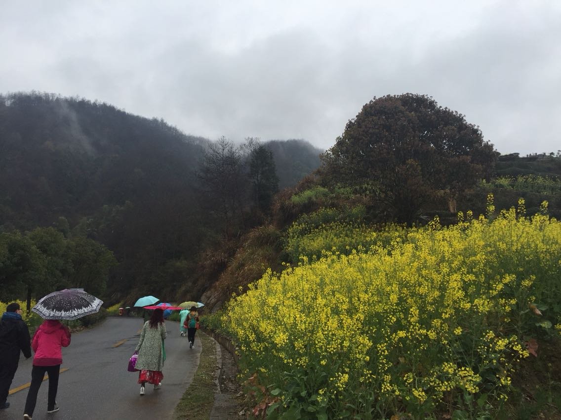 黄道乡最新天气预报通知