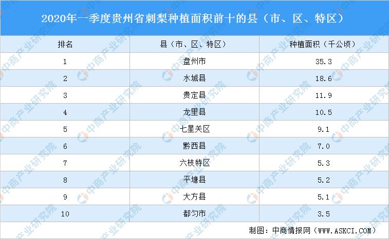 平塘县统计局最新招聘信息全面解析