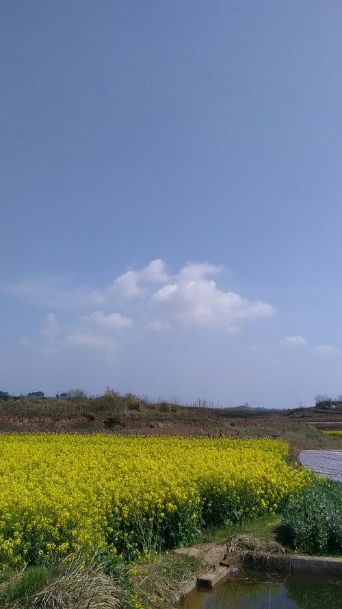 水墩镇天气预报更新通知