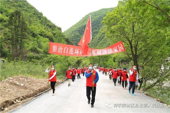 柏树坝村委会最新动态报道