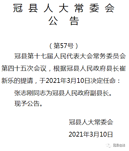 张应镇最新人事任命动态概览