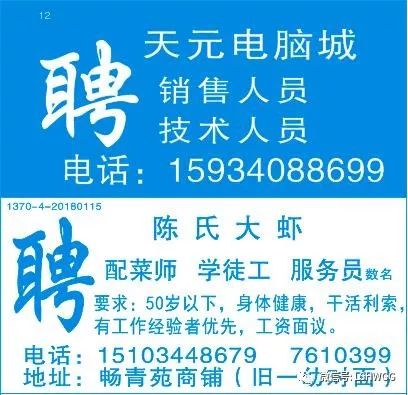 王团镇最新招聘信息汇总