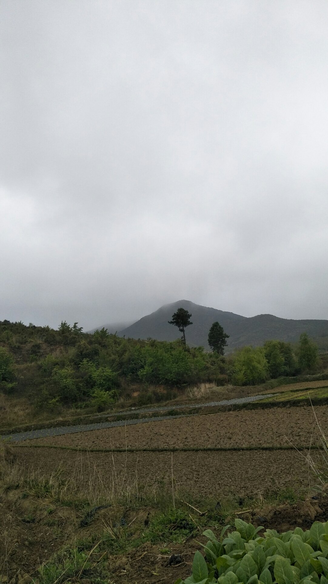 古山镇天气预报更新通知