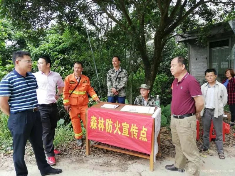 富林镇交通新动态，发展引领地方繁荣之路